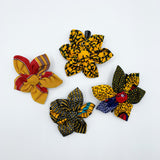 Ankara clip